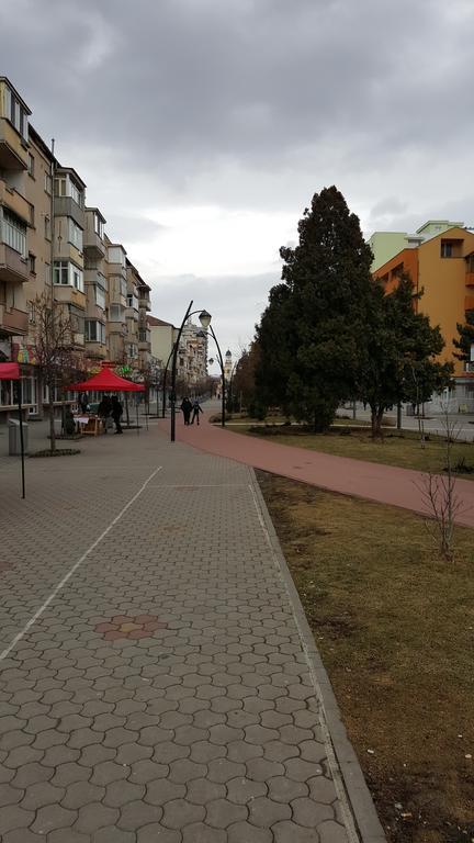 La Garson Apartment Alba Iulia Luaran gambar